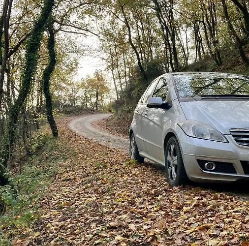 La Fonte Di Gaiche Pensjonat 3*