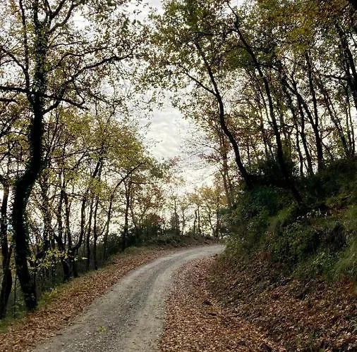 Pensjonat La Fonte Di Gaiche 3*